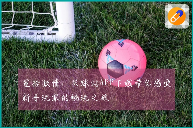 重拾激情，买球站APP下载带你感受新手玩家的畅玩之旅
