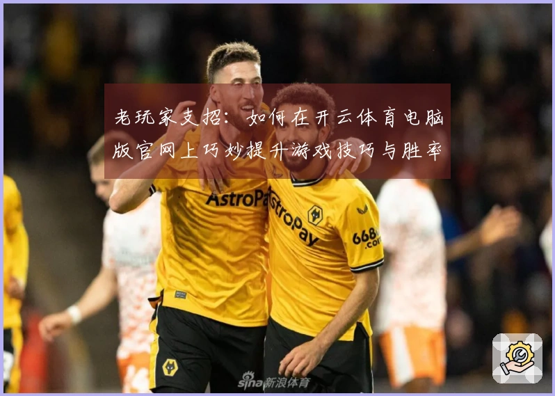 老玩家支招：如何在开云体育电脑版官网上巧妙提升游戏技巧与胜率