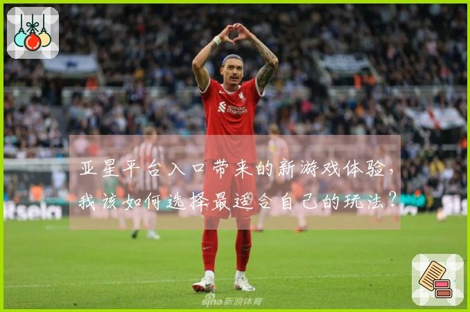 亚星平台入口带来的新游戏体验，我该如何选择最适合自己的玩法？