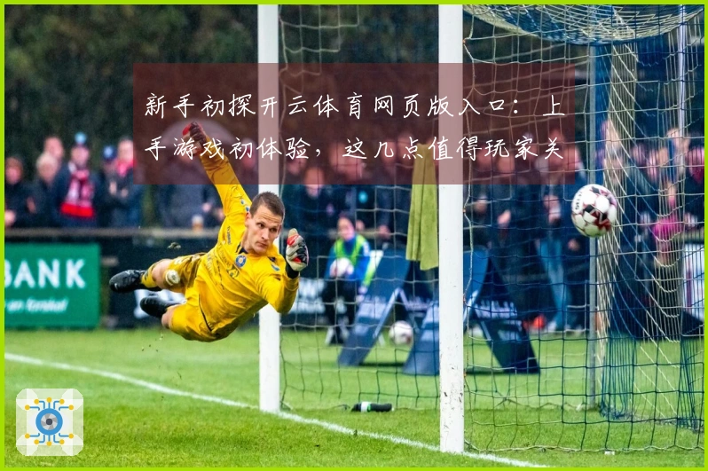 新手初探开云体育网页版入口：上手游戏初体验，这几点值得玩家关注