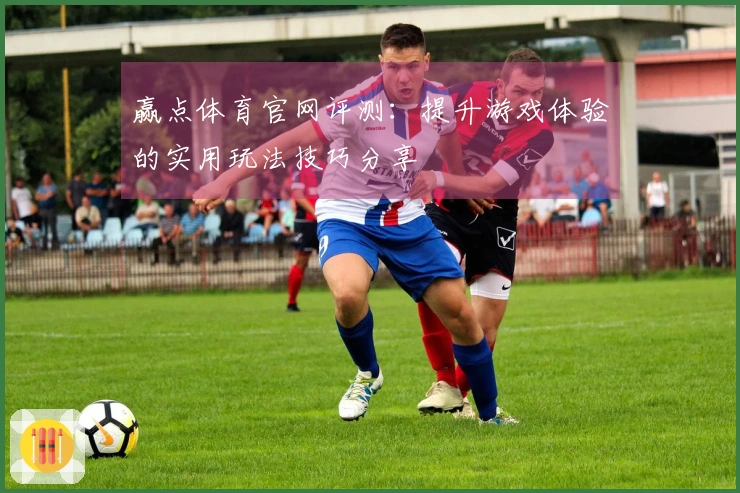 赢点体育官网评测：提升游戏体验的实用玩法技巧分享