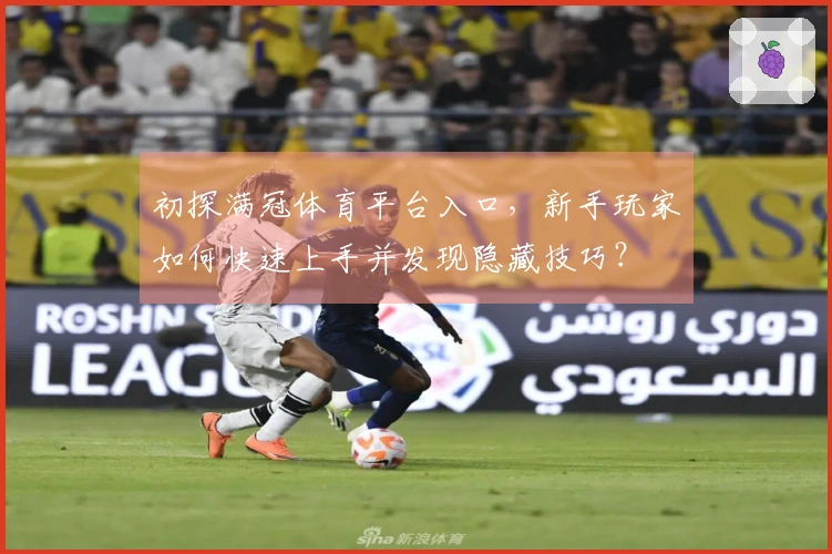 初探满冠体育平台入口，新手玩家如何快速上手并发现隐藏技巧？